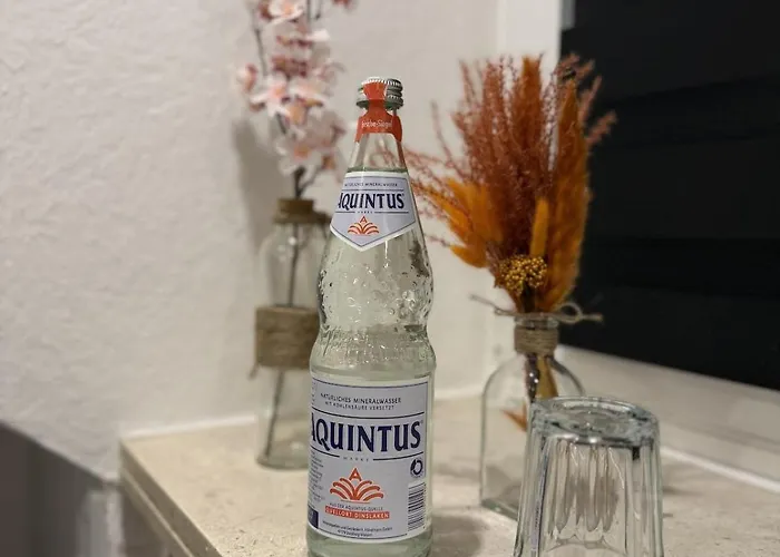 Helle 2-zimmer-wohnung Mit Modernem Design Апартаменты Мёнхен-Гладбах